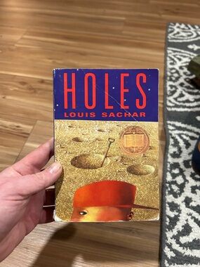 Holes by Louis Sachar Paperback Novel